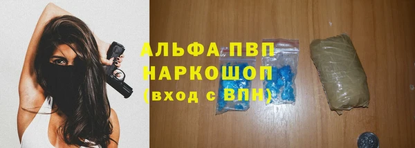 spice Каменногорск
