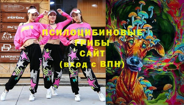 2c-b Каменка