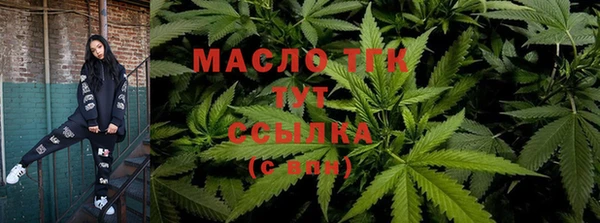 2c-b Каменка
