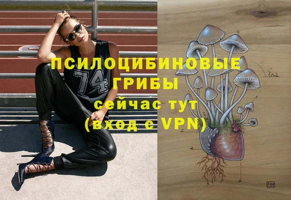 прущий лед Каменск-Шахтинский