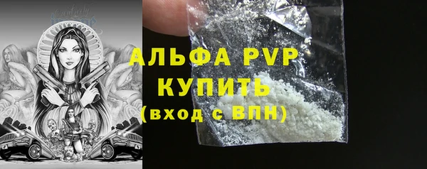 spice Каменногорск