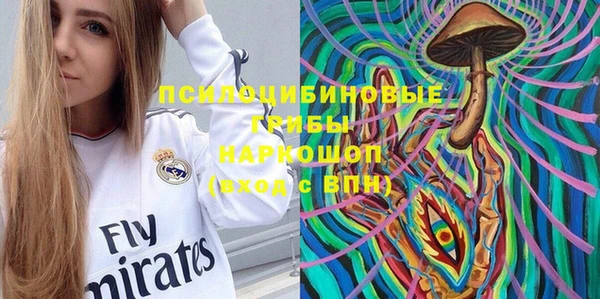 2c-b Каменка