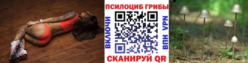 Купить Белоозёрский Галлюциногенные грибы Magic Shrooms